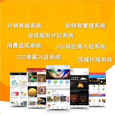 聊城網(wǎng)站建設(shè)軟件開發(fā)公司