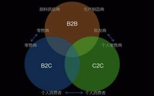 全球電子商務b2b,b2c,c2c主要的代表網站有哪些