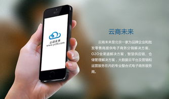 b2b2c商城系統建設方案