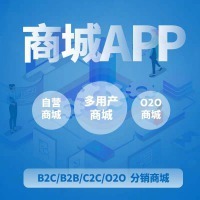 APP開發