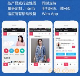 b2c商城系統定制 高端商城網站建設自適應商城購物一條龍全包pc站 手機站 微信站