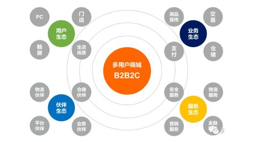 企業多用戶商城 b2b2c 平臺建設與運營解決方案 附ppt全文