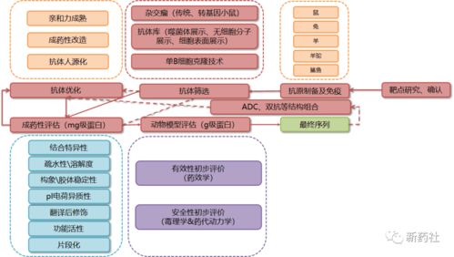史上最全藥品研發全流程圖總結